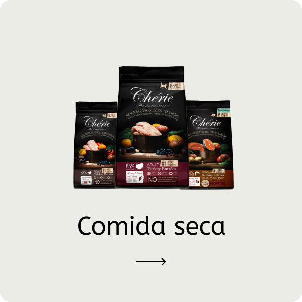 Comida seca